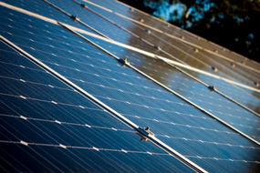 Adoptent des pratiques environnementales responsables